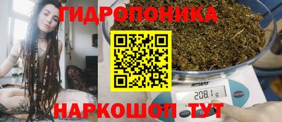 ГАЛЛЮЦИНОГЕННЫЕ ГРИБЫ Можга
