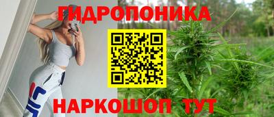 ГАЛЛЮЦИНОГЕННЫЕ ГРИБЫ Можга