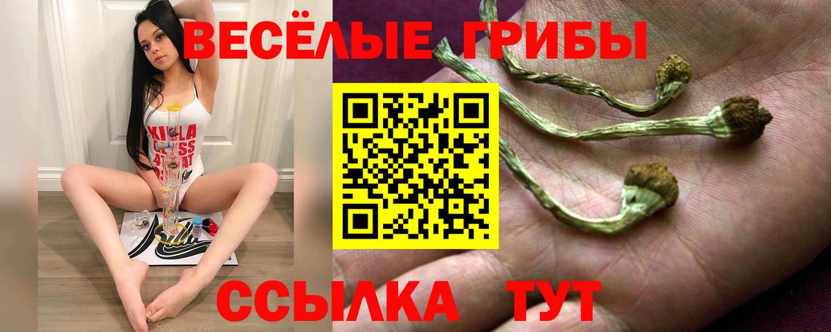 Галлюциногенные грибы прущие грибы  Галлюциногенные грибы Psilocybine cubensis  Вход с VPN  Феодосия 